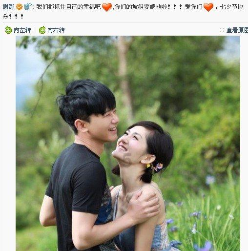 书虫是益虫还是害虫？游戏画面