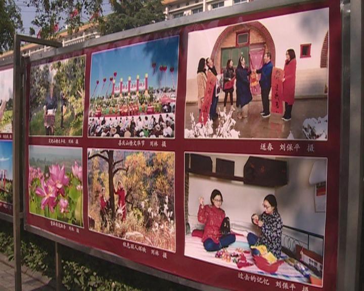 书虫是益虫还是害虫？游戏画面