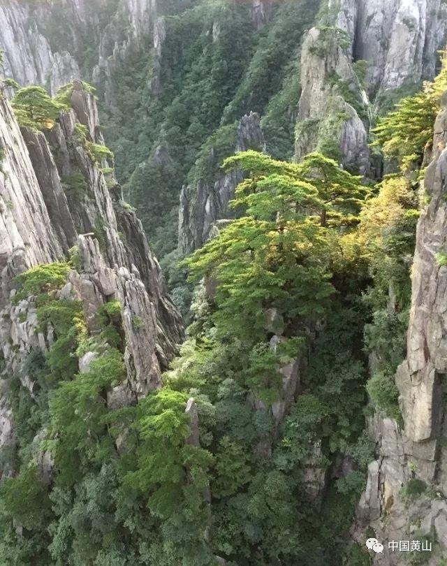 经典扫雷大挑战